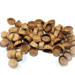 Paper plugs 3/4 inch x100  Paper plugs 3/4 inch x100